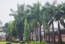 अर्नब साइक्लोन